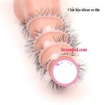 vong-silcon-long-cuu-33191727965153